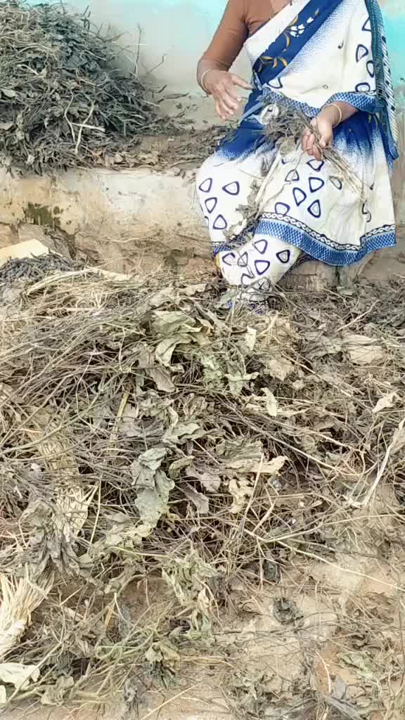 @💗 ರವಿಮಾಮ ಅಭಿಮಾನಿ 💗