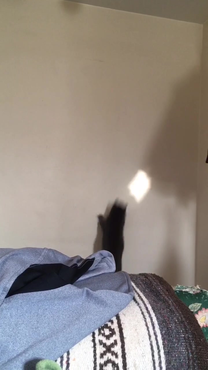 @Dev