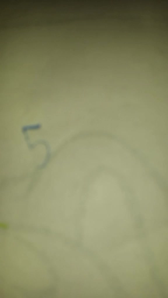 @wolf gamer 2008