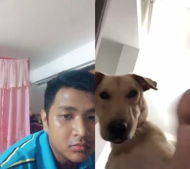 @Kaku Angelo