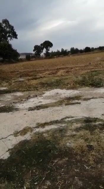 @Erdoğan Alerik