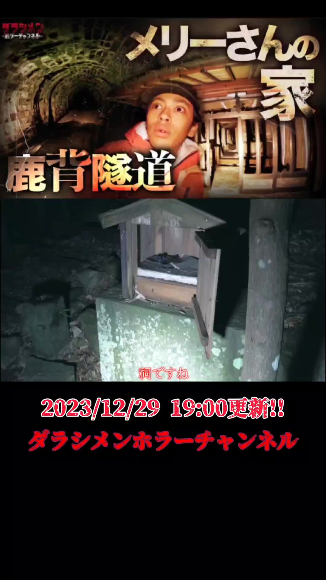@HIBIKI【ダラシメン応援垢】