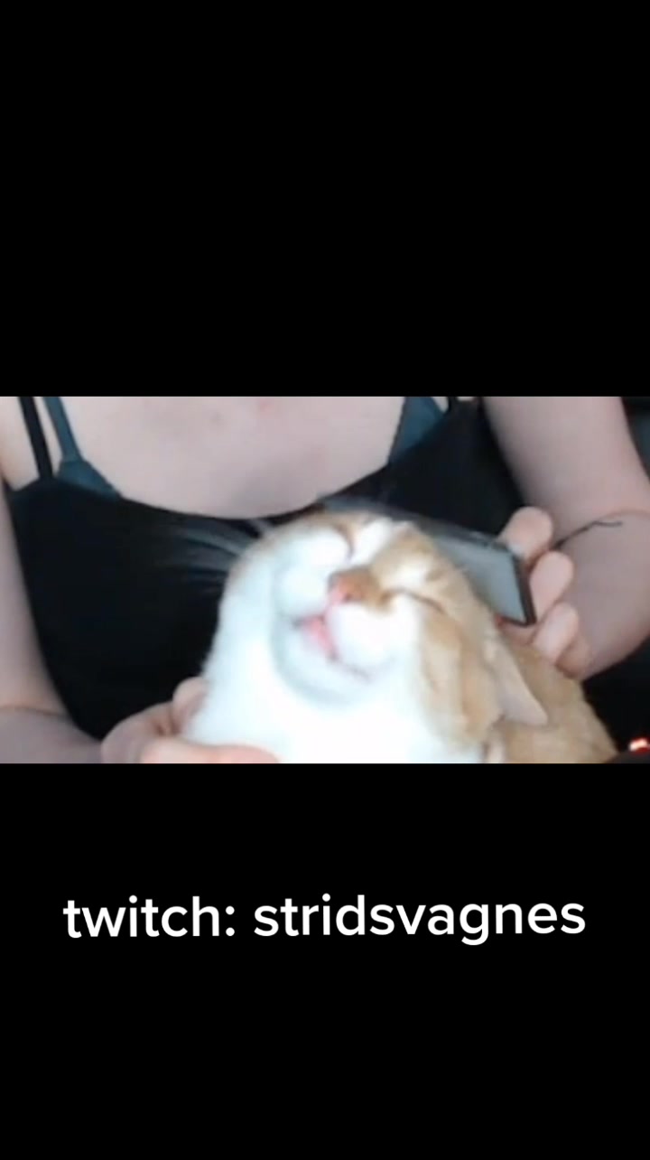 @Stridsvagnes