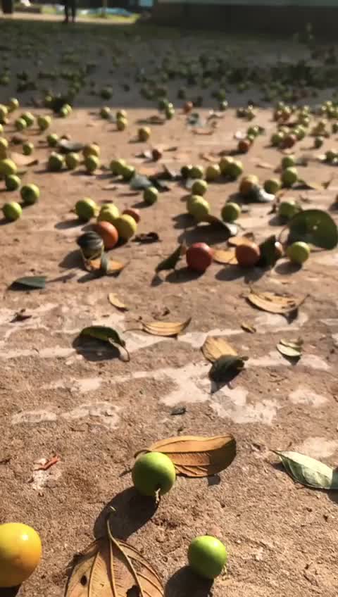 @🫶rajkumar_.01