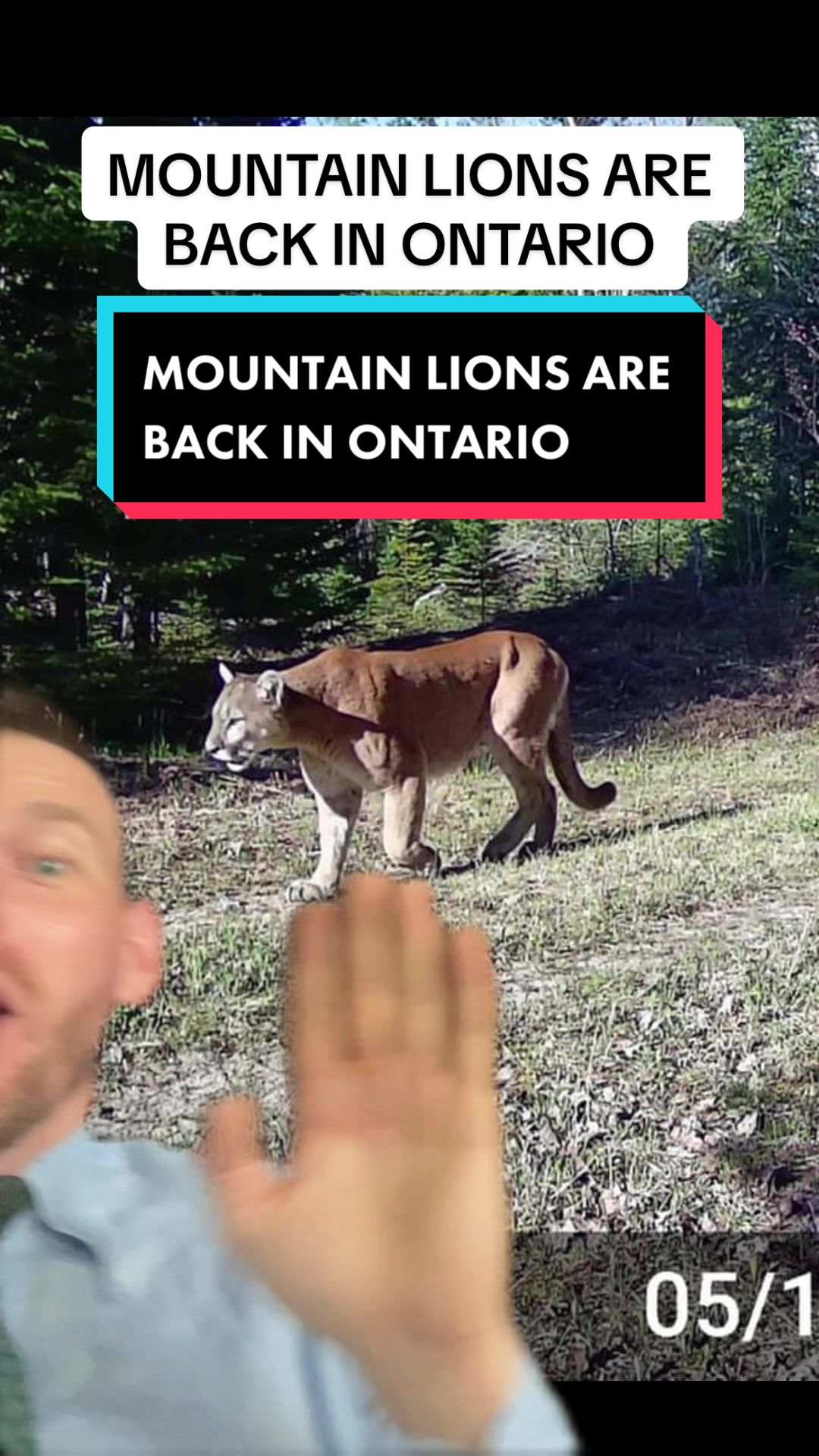 @Wild Ontario News