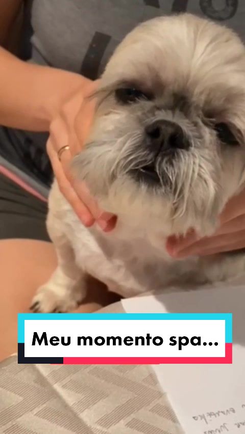 @Mel Spacemoon 🐶🐾