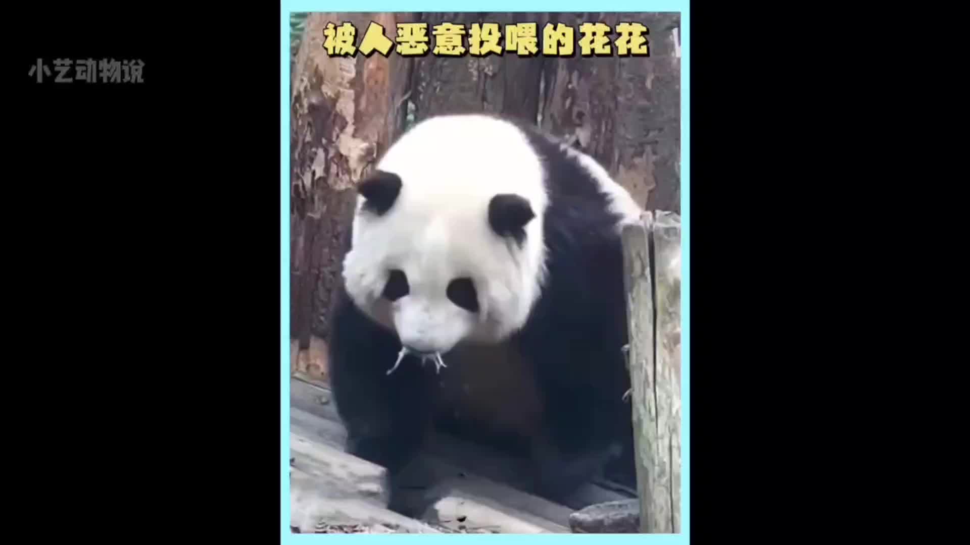 @Ởđ&acirc;yc&oacute;sựđ&aacute;ngiucủa HoaHoa 🌸