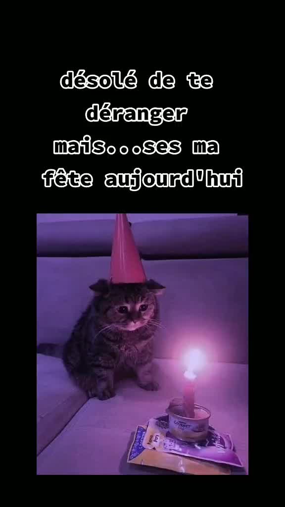 @user9339663841828