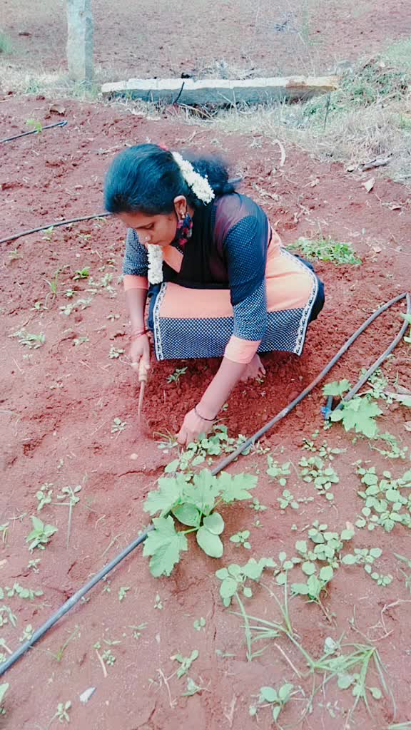 @Mala Santhosh