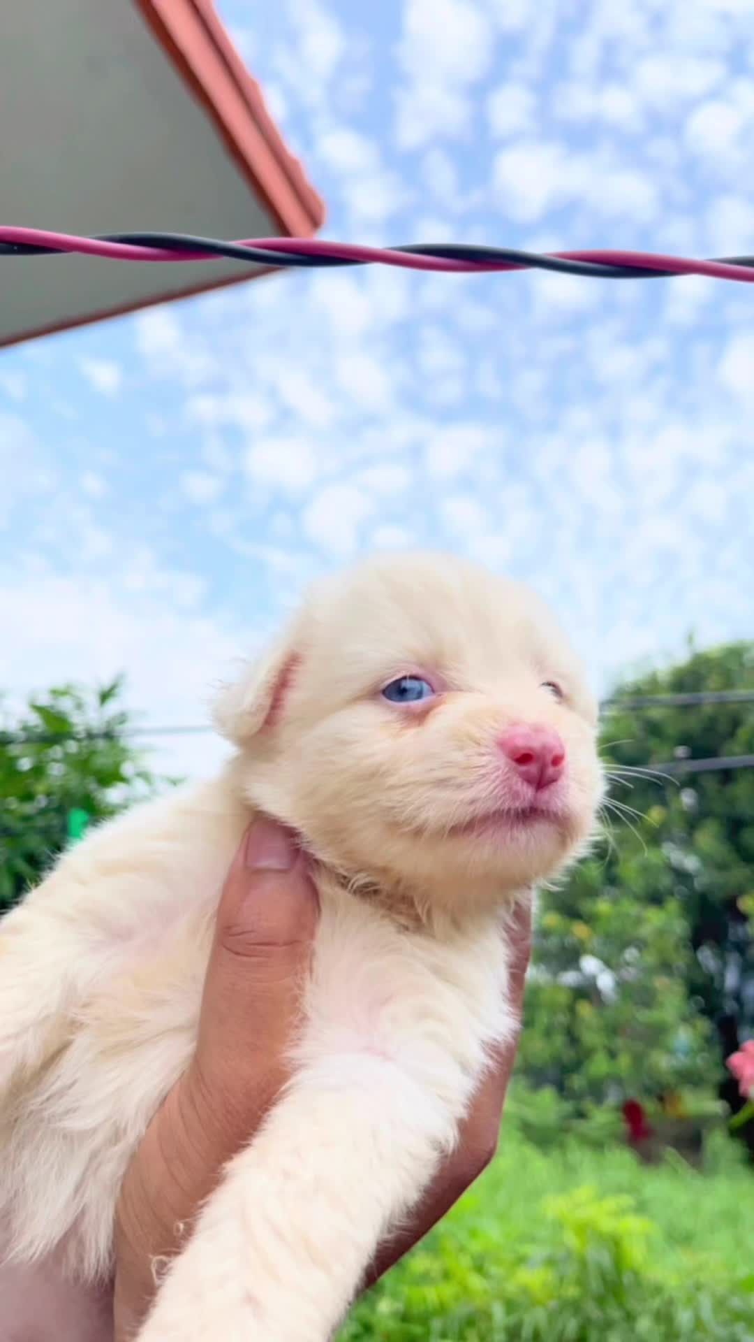 @Lunacyben🤗