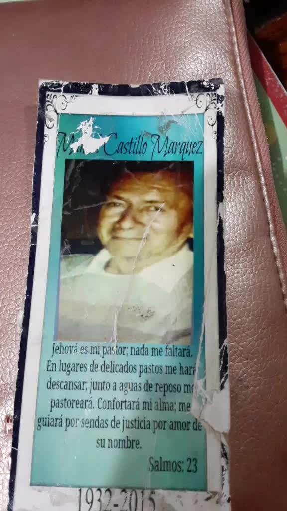 @Jasmin Castillo