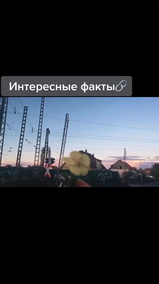 @ЖИТЬ рекомендациях✨