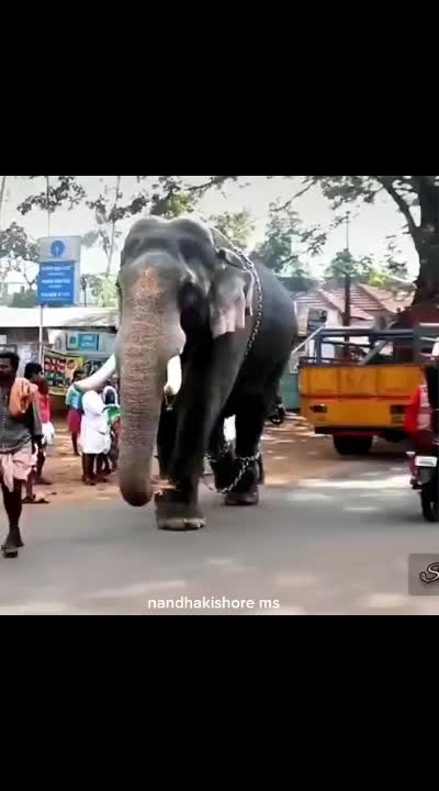 @Nandhakishore M.S