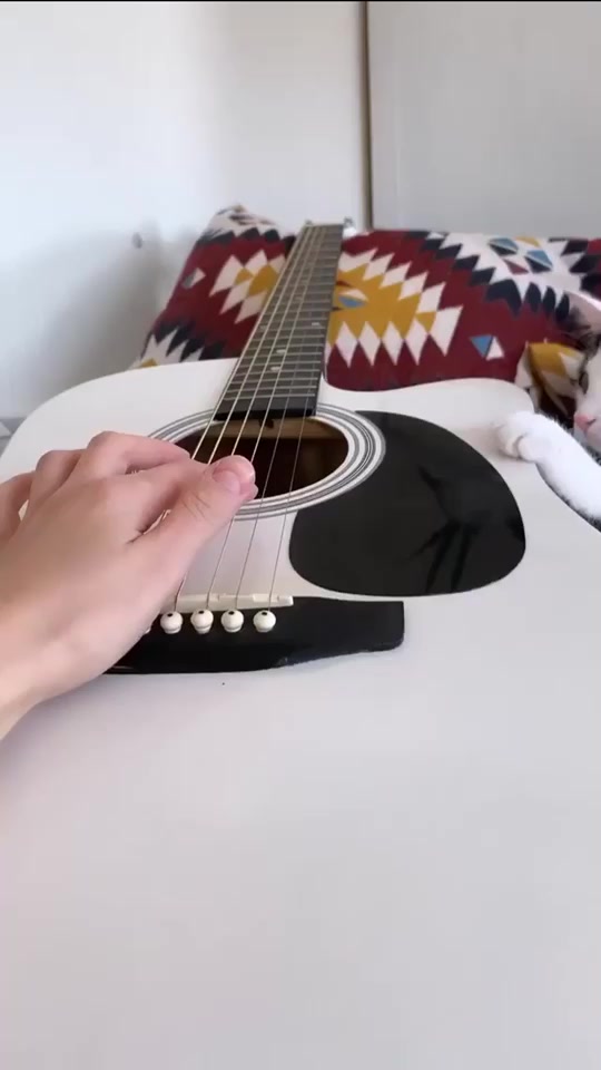 @Cassandra Catalano