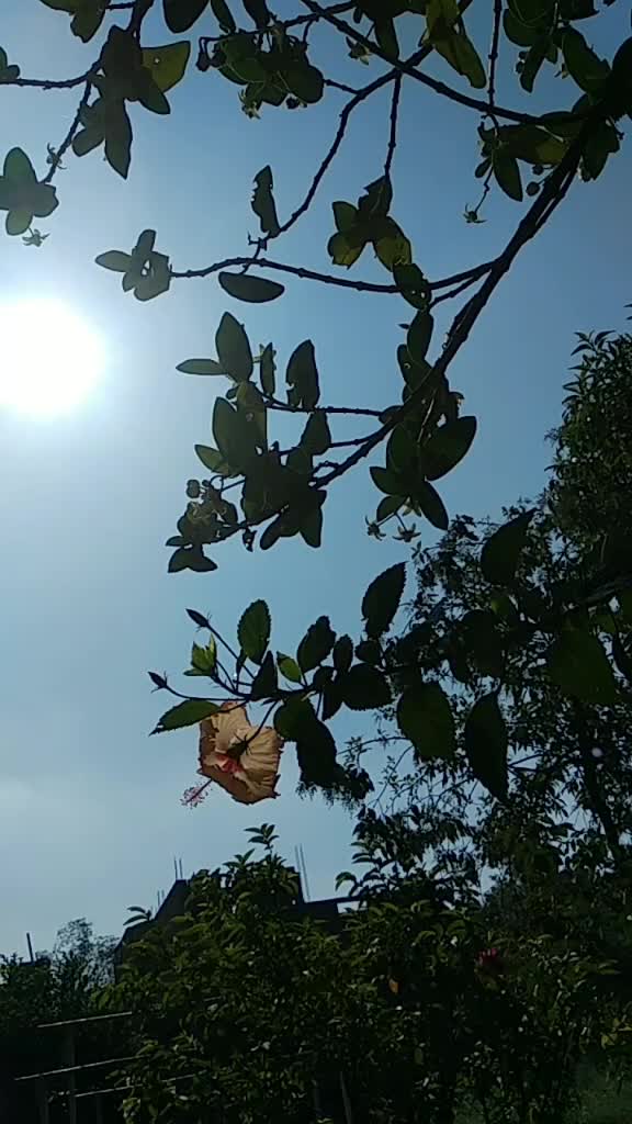 @Mani Karn19(मणिकर्ण)