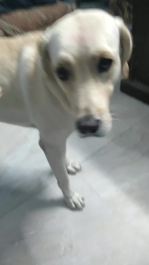 @Pranav Kumar
