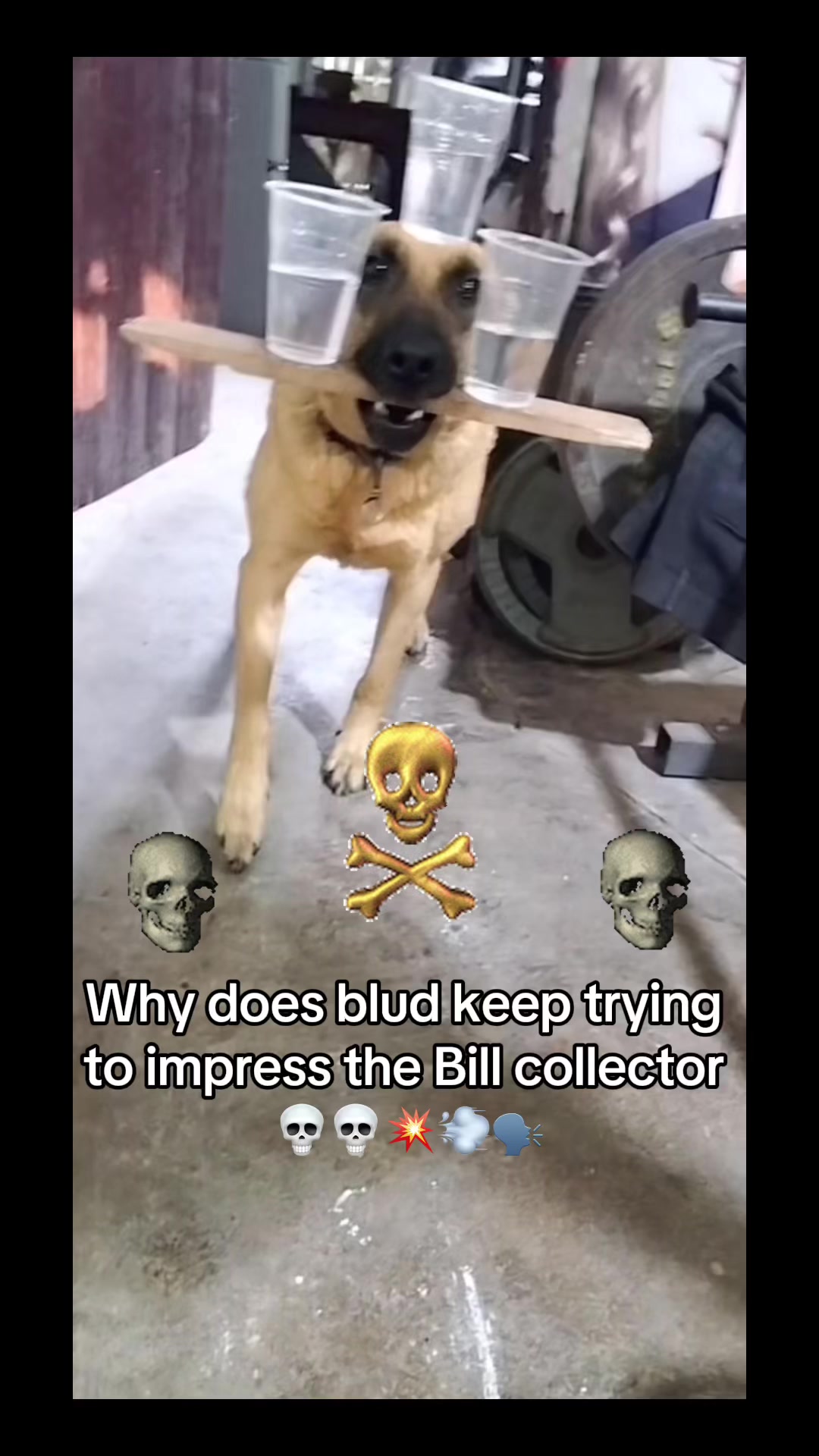 @NoCode_12
