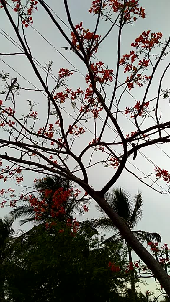 @Arathi Anil
