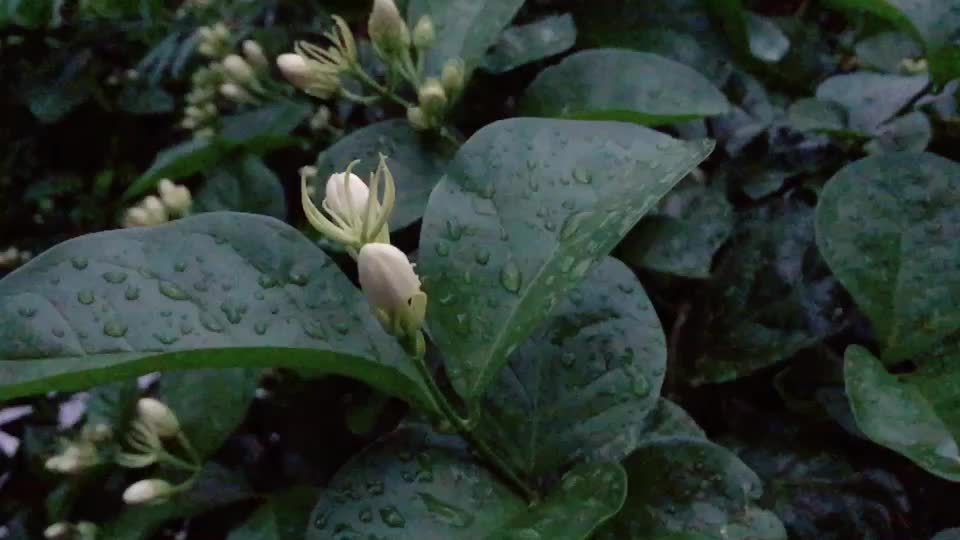 @Byju369