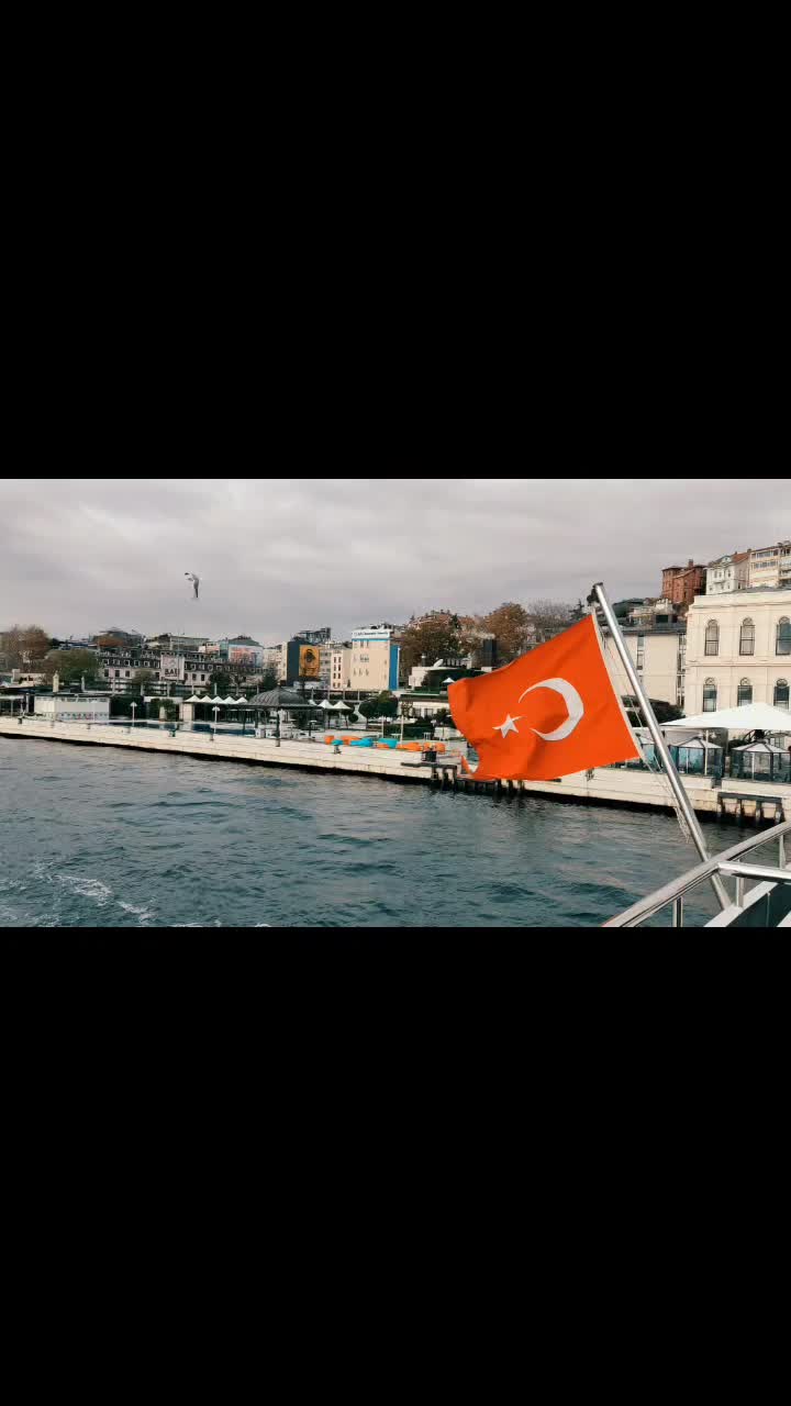@Milica Bacic