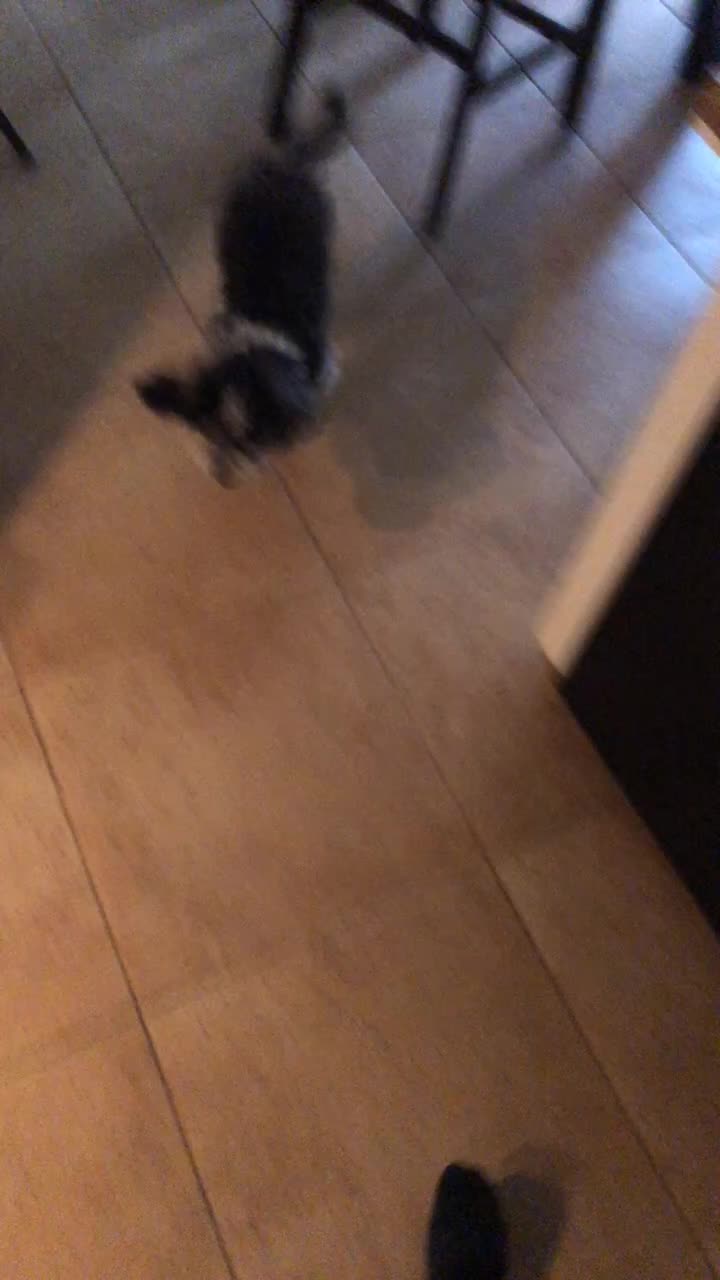 @Jööce