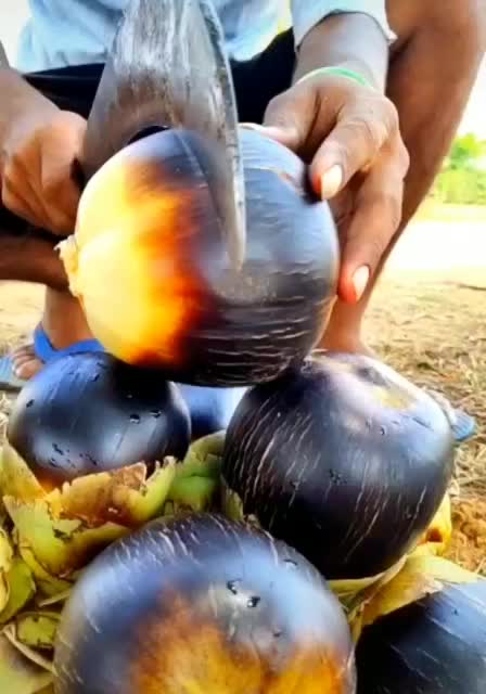 @Rossi_Rohith