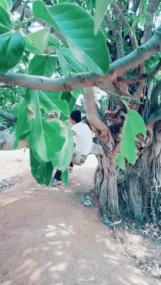 @@sravankumarkp