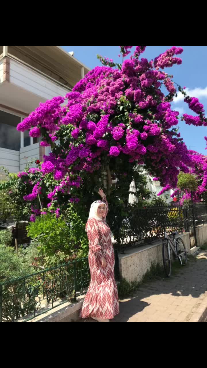 @zeynepbas3437