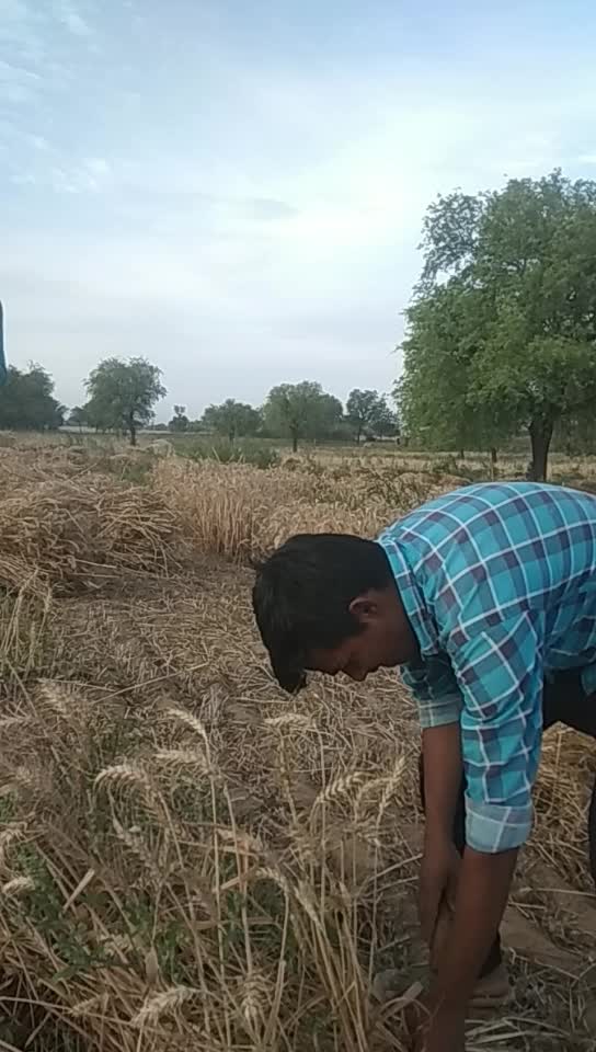 @Narender Sarewa