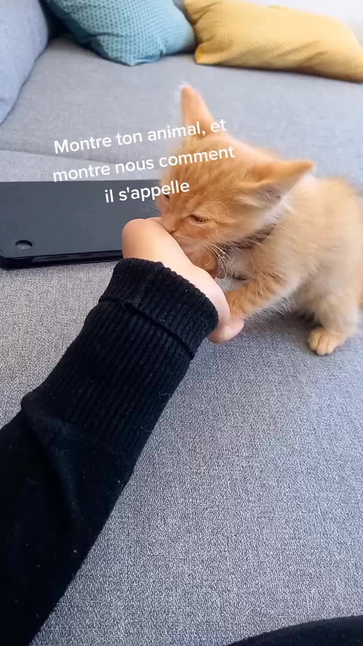 @Maud Thepot