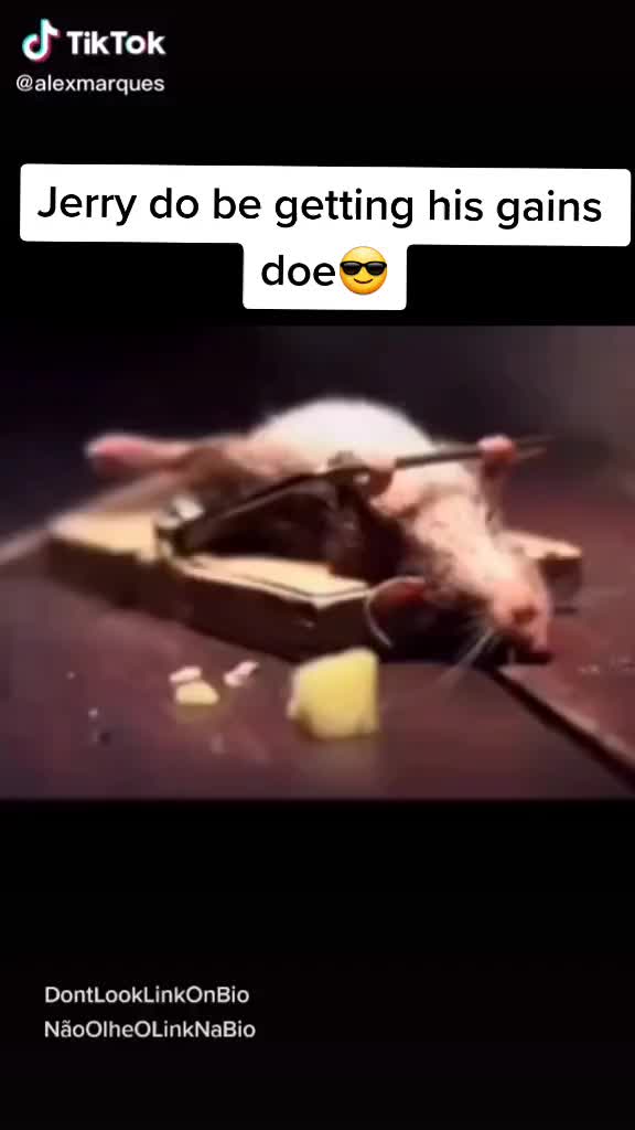 @Notrustjay