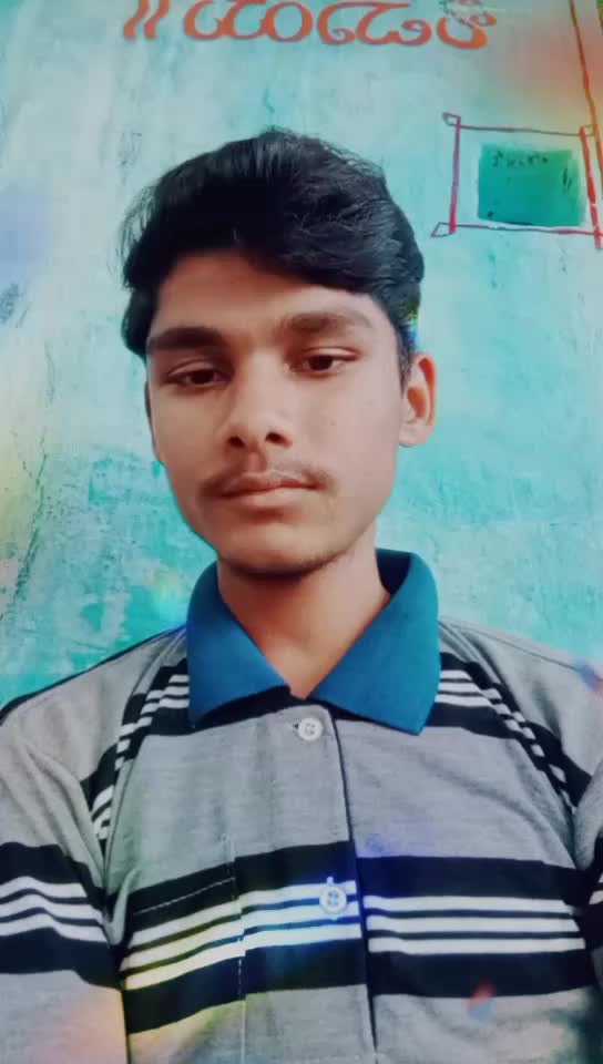 @Kadesh madar 288173