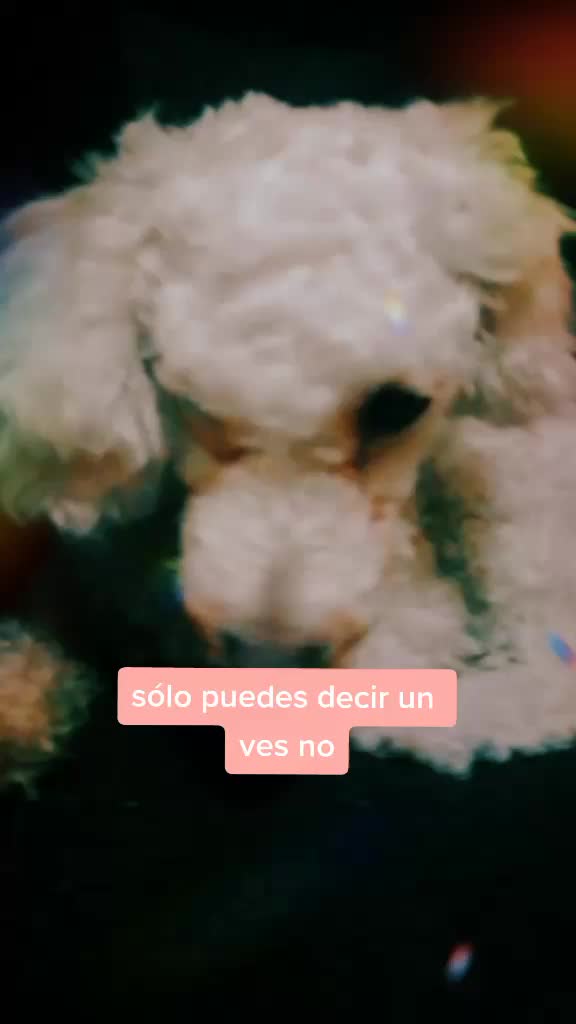 @Princesadulce&mdash;