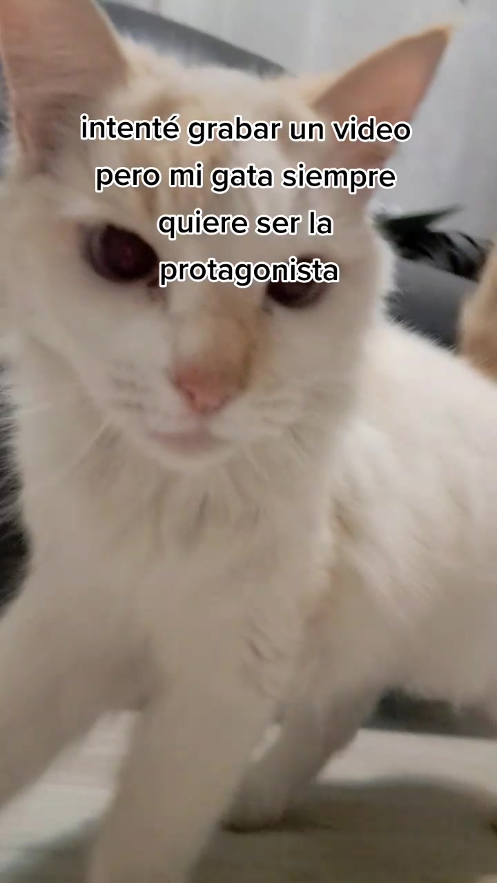 @caenmeteoritos
