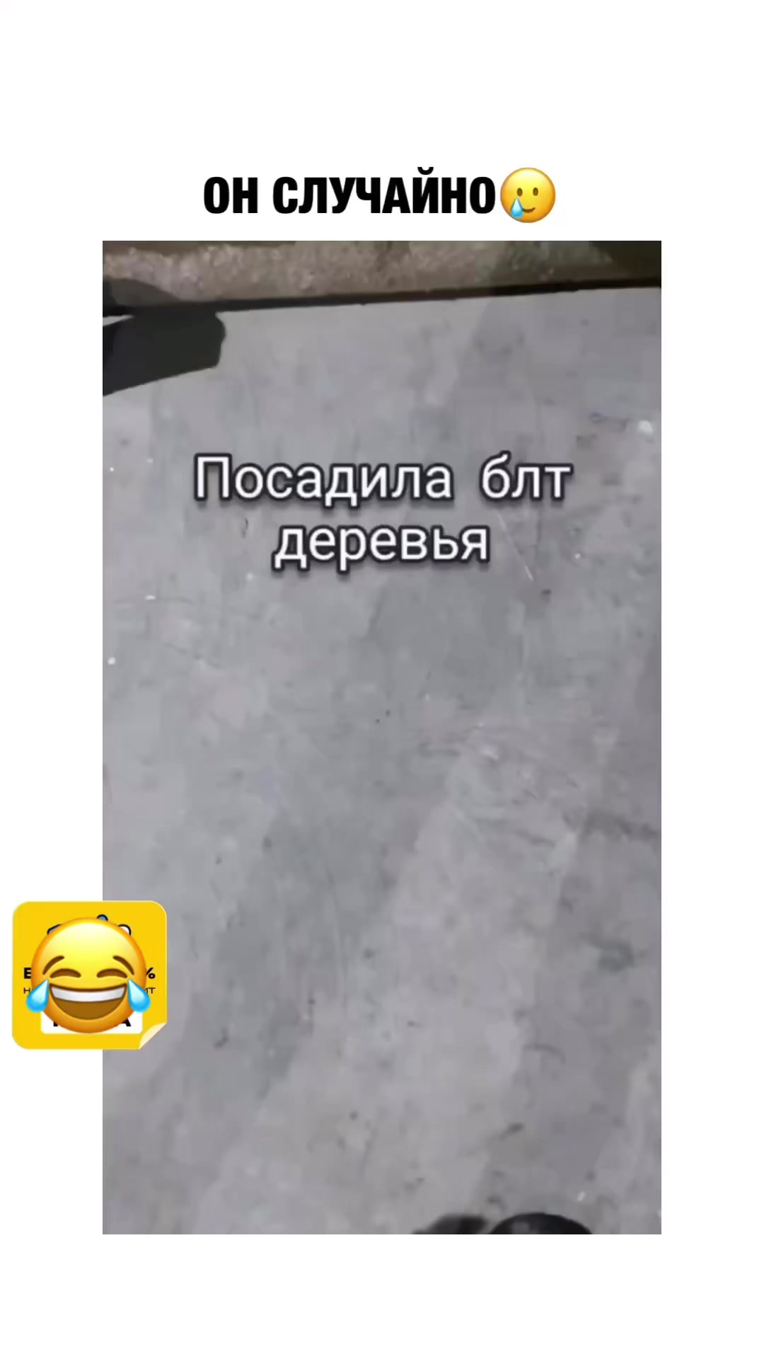 @Екатерина