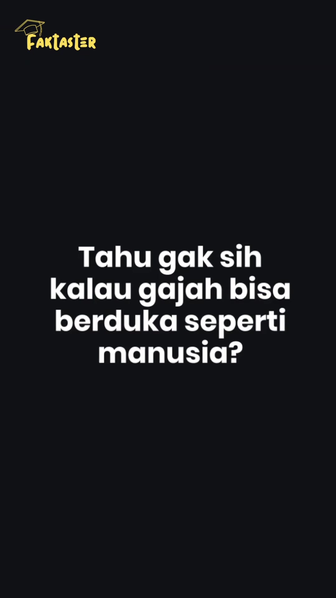 @Faktaster✨️