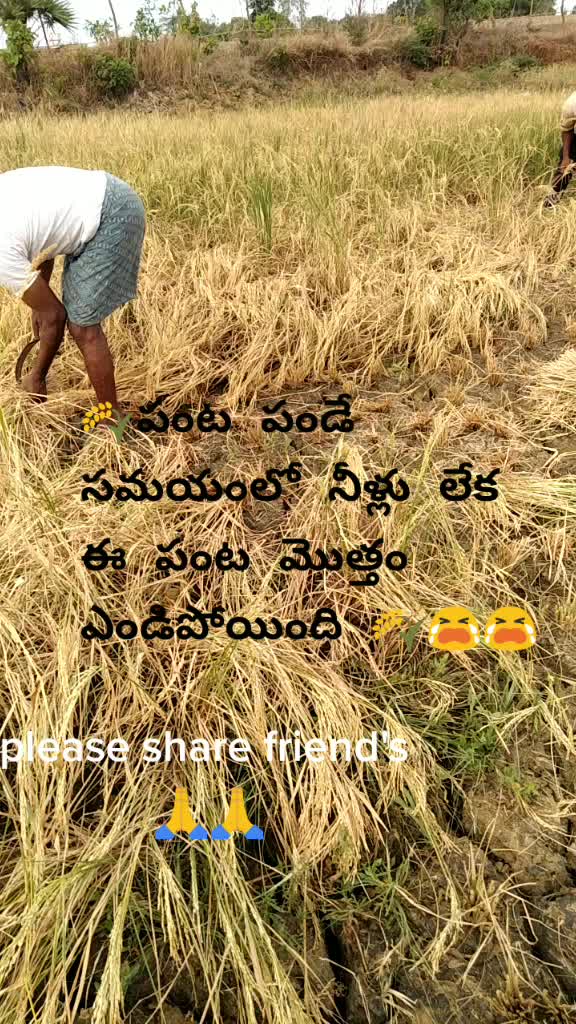 @prabha user962156