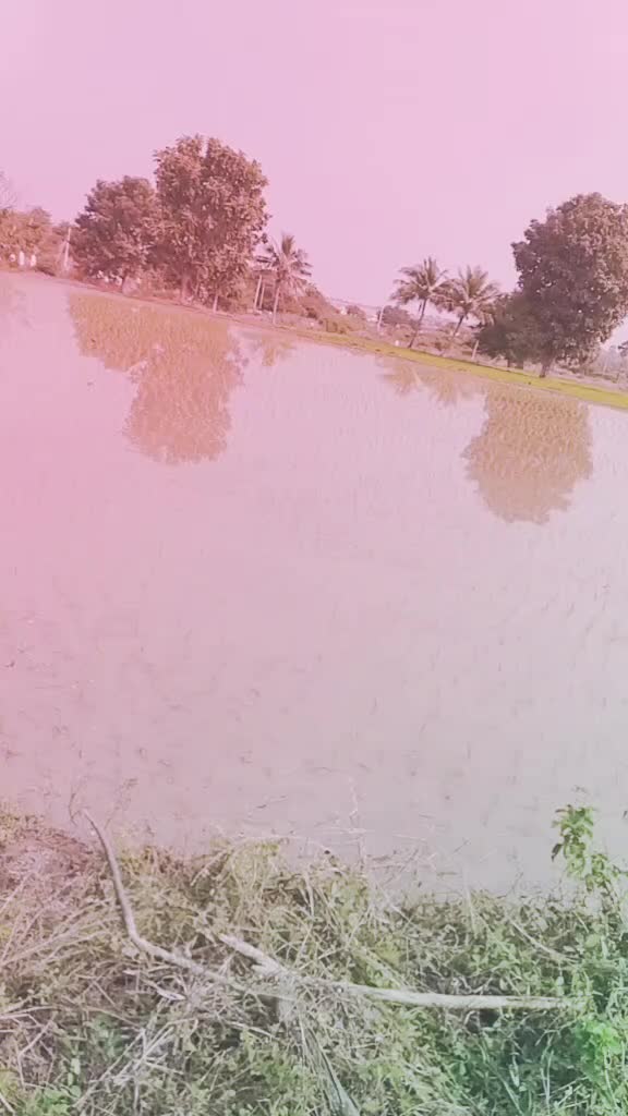 @Sûrkãñtî Kïrãñ Rêddy