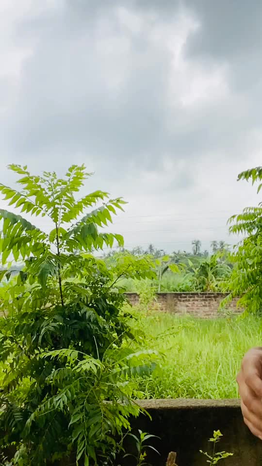 @Sarika Khan