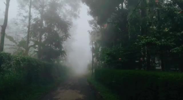 @sreehari