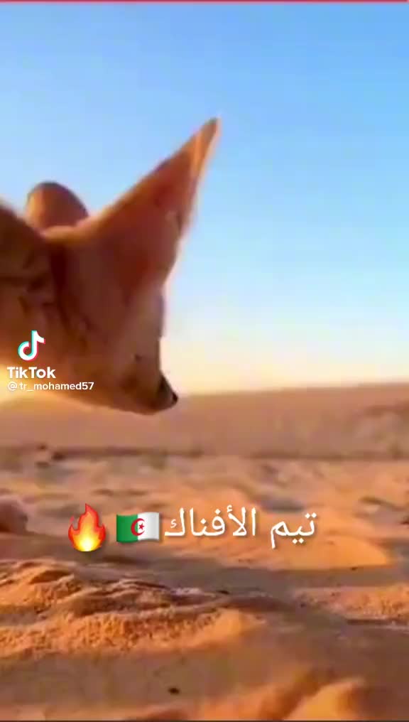 @@P&iuml;ťČh&oslash;ű🔥P&iuml;ťćh&oslash;&uacute;Ů_