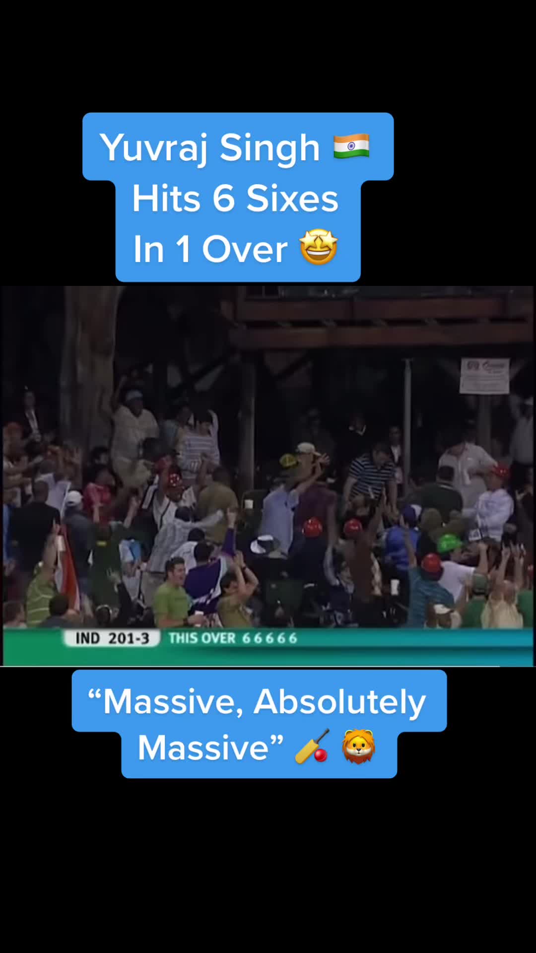 @Lion13