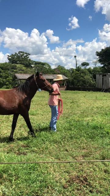 @lucasagro