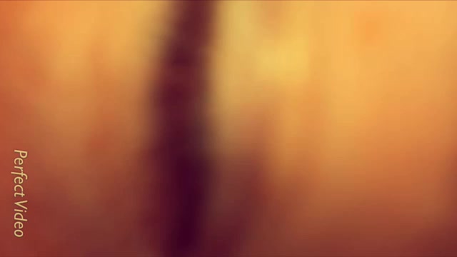 @GET.SILLAYY