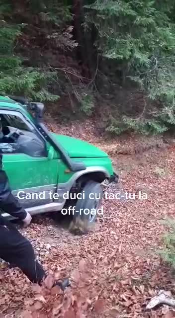 @Alex Nepotu