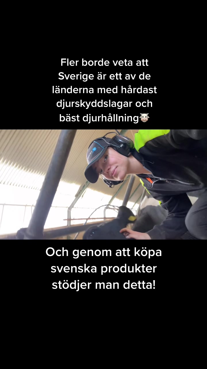 @Freja Theander🦆