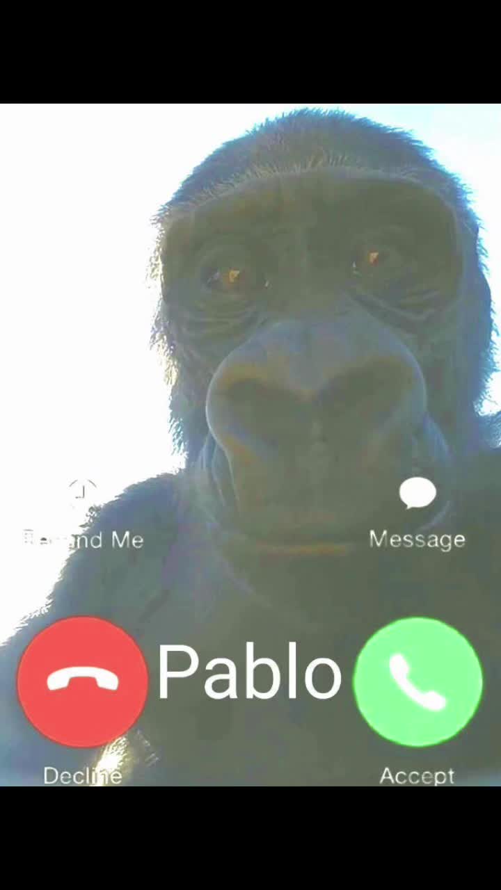 @PabloJrJr