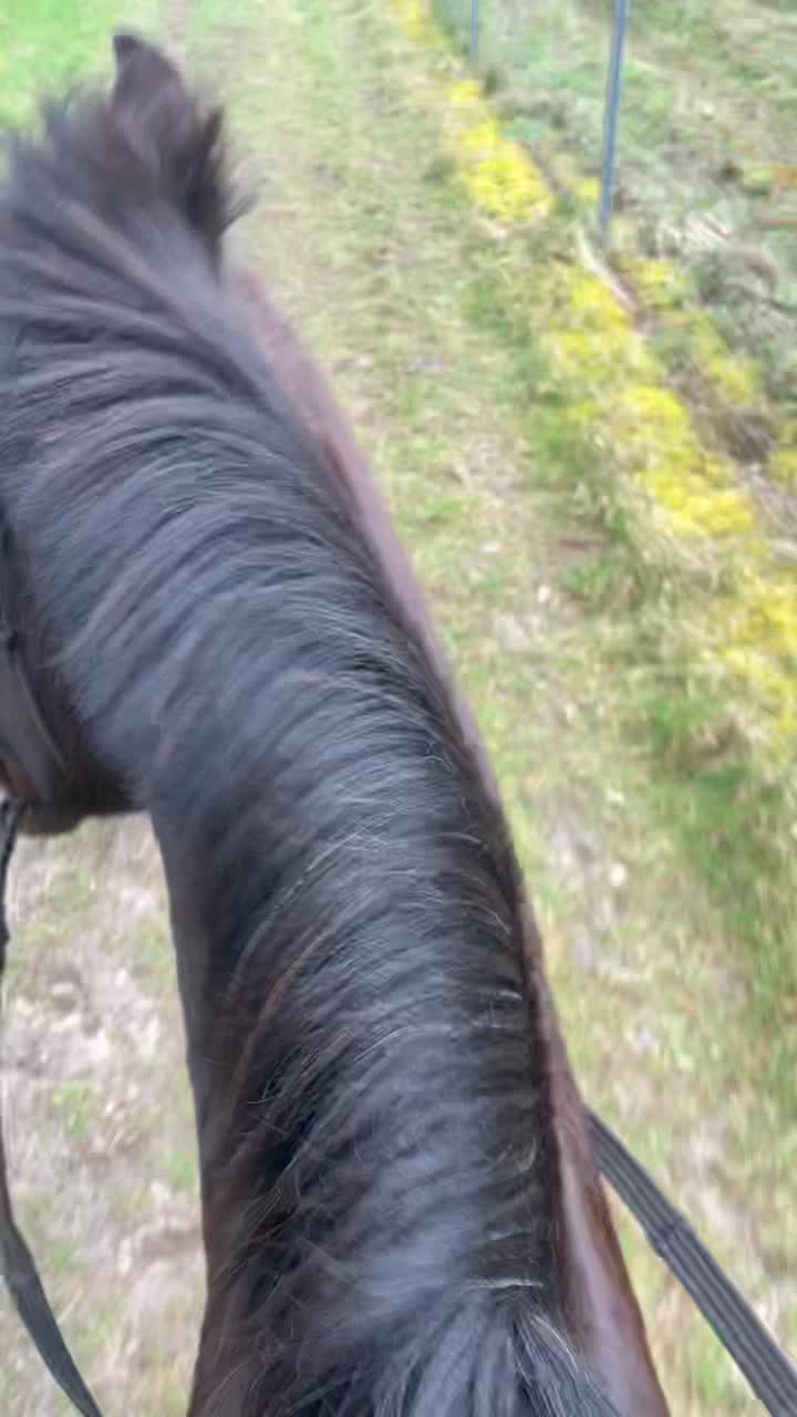 @Dunique