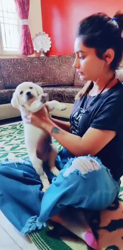 @rinkal.vanpariya
