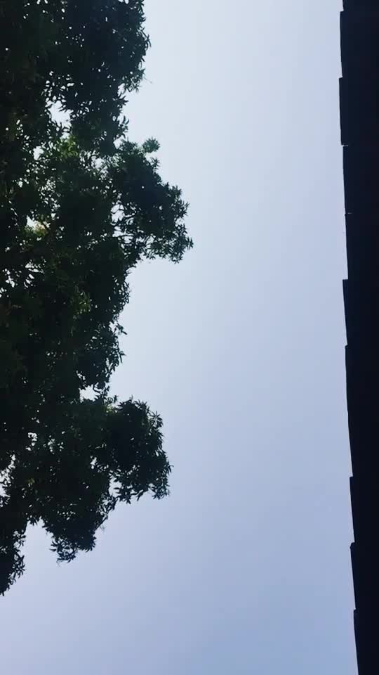 @suraj2315